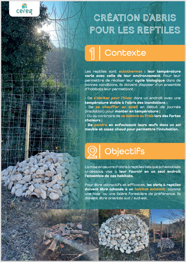 Fiche action hibernaculum